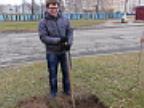 Посади дерево - 2012